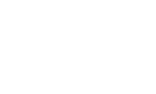 logo-fever